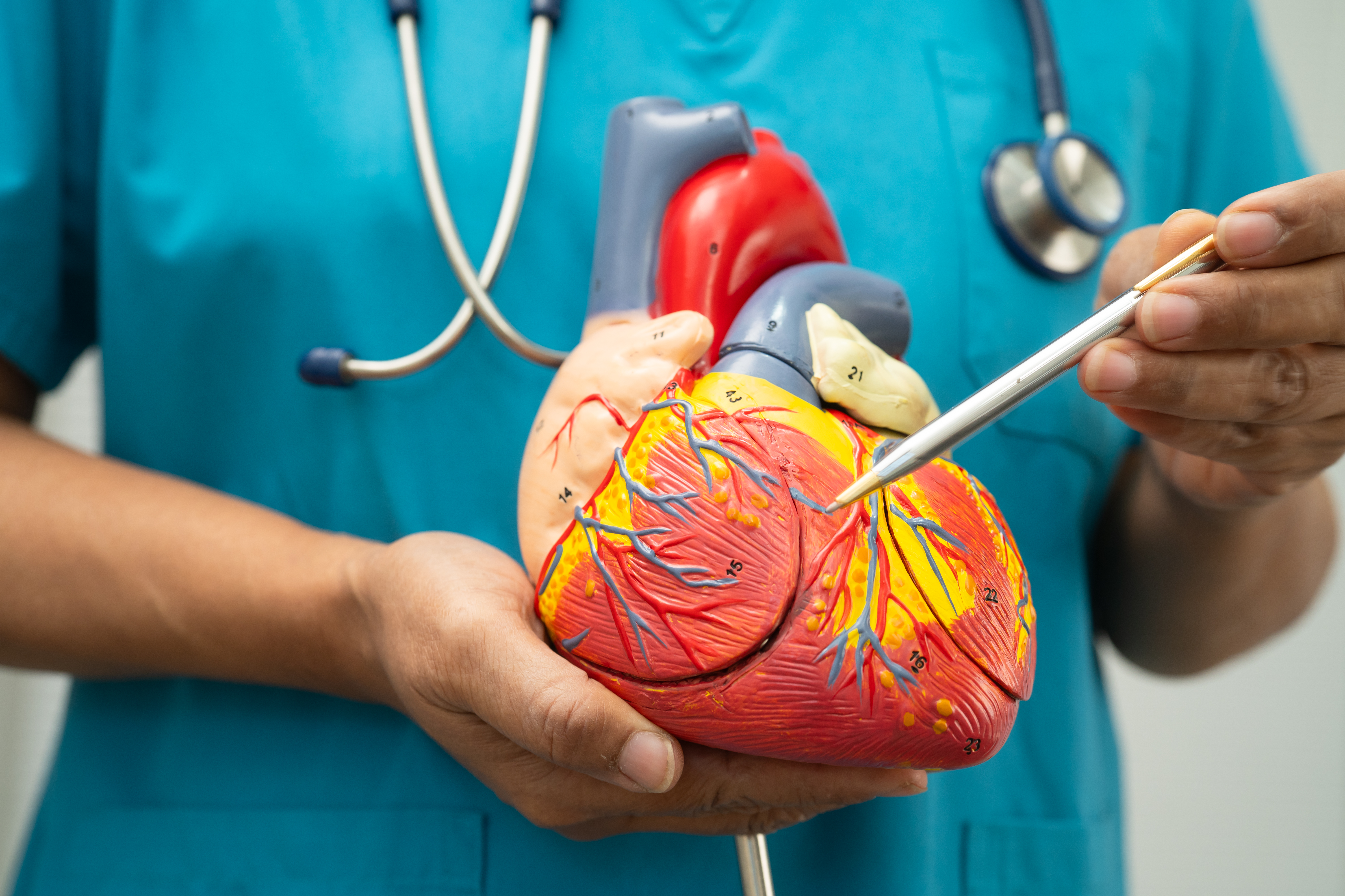 Best Cardiologist in Infantry Road